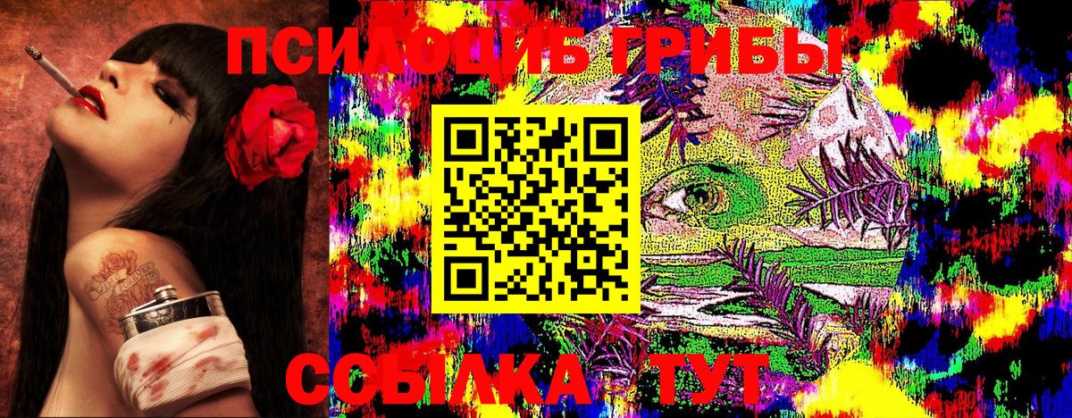 Галлюциногенные грибы Psilocybe Глазов